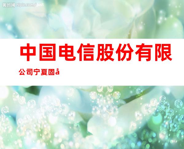 中国电信股份有限公司宁夏固原长途电信传输局