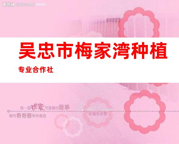吴忠市梅家湾种植专业合作社