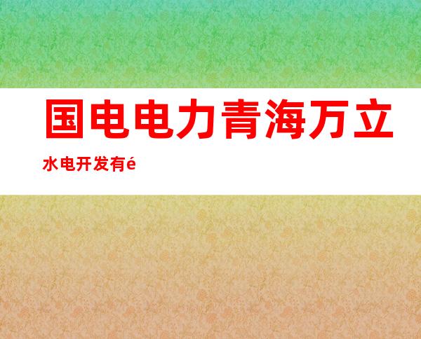 国电电力青海万立水电开发有限公司学科电站