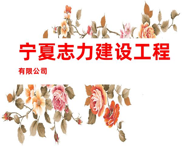 宁夏志力建设工程有限公司
