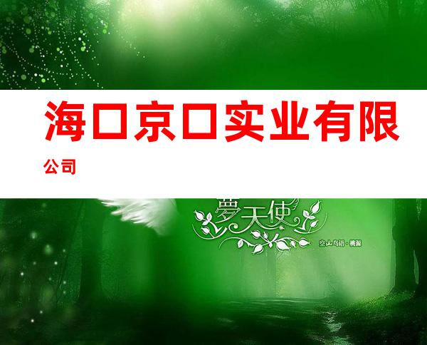 海口京口实业有限公司